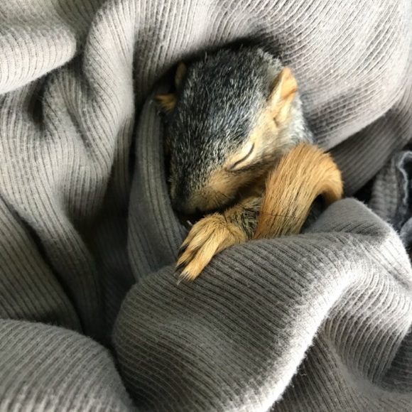 Meet your Posher, Steven - Picture 1 of 1